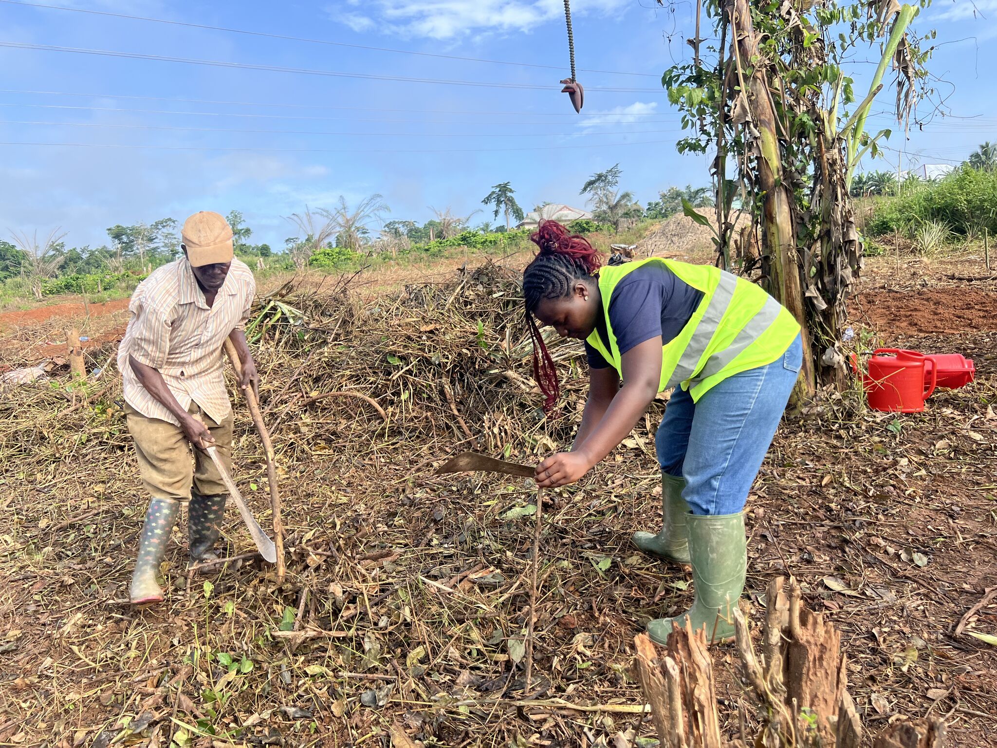 Reforest Plus Project